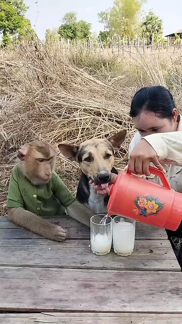 Awesome Video Best SokYaa, OG, Pao & Mom Are Famous Around The World #shorts #anime #trend #edit