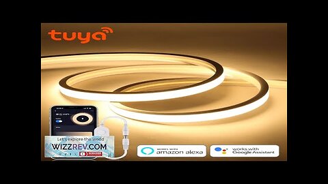 Tuya Smart WiFi APP DC 24V COB Light LED Strip Neon Silica Review