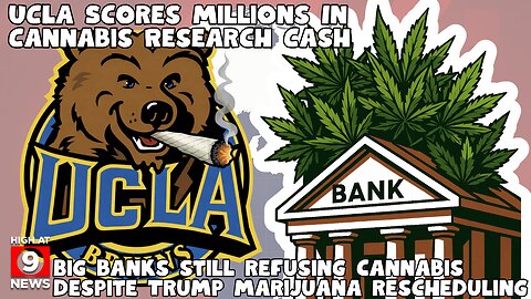 Trump Administration Ditches Alcohol Limit Guidance As Marijuana Remains Federally Criminalized