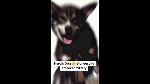 Heroic 🐶 storieescity americanmilitary