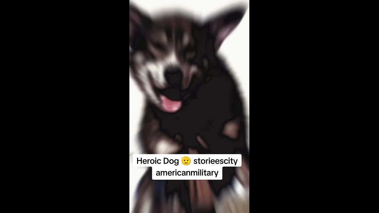 Heroic 🐶 storieescity americanmilitary