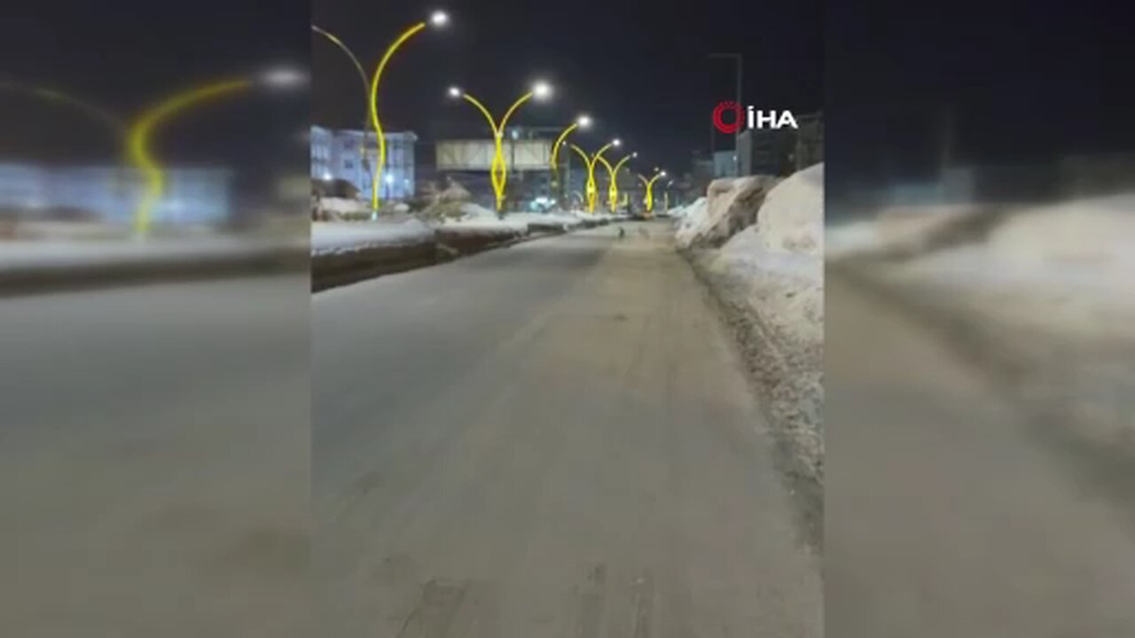 Yüksekova’da kurtlar şehir merkezine indi