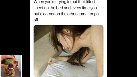 Memes That Will 99.0574% Make You Laugh. (e798)