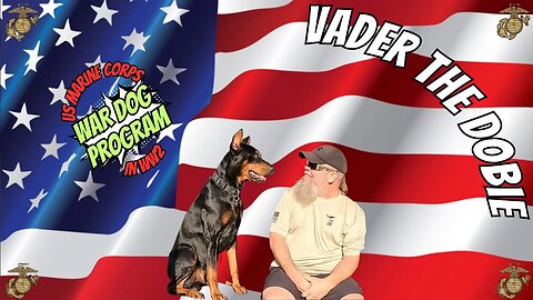 War Dogs of the Pacific 🐾 | Dobermans and the USMC’s Island-Hopping Triumph in World War 2 🇺🇸