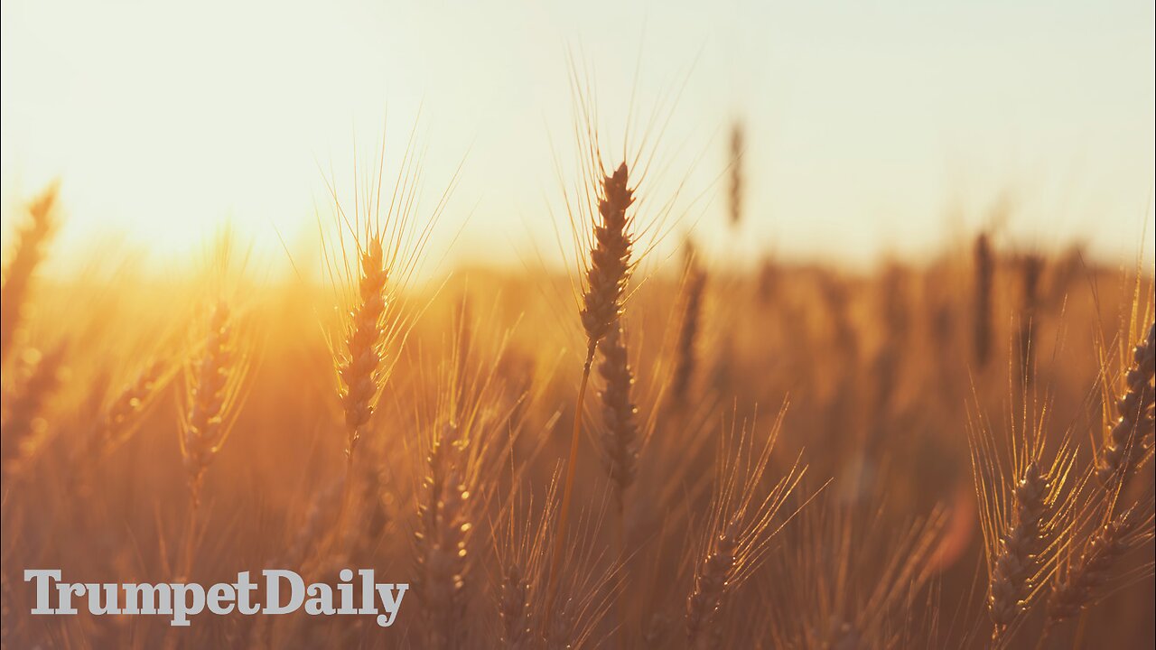 Swords Into Plowshares - Trumpet Daily | Oct. 9, 2025