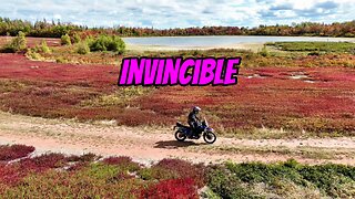 Tenere 700 - Invincible