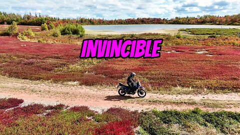Tenere 700 - Invincible