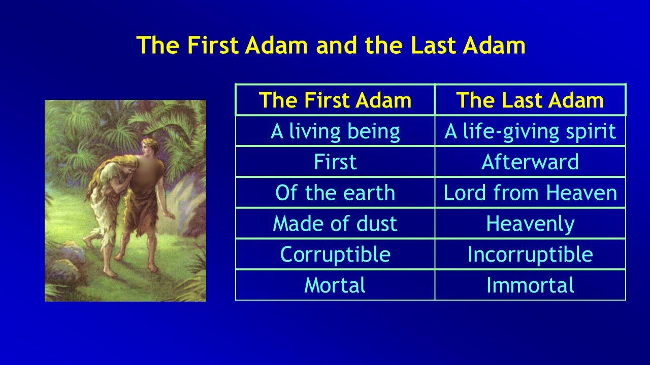 Video Bible Study: 1 Corinthians - #68