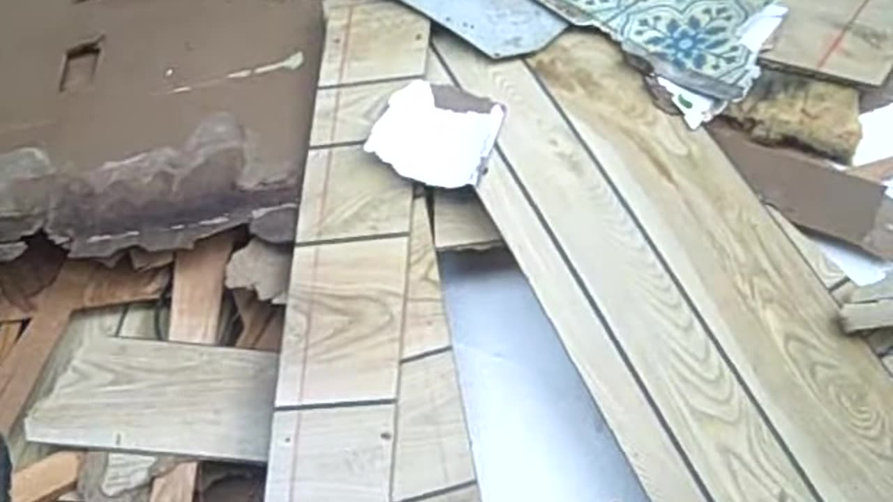 Early Shea Show video, THE SHEA SHOW