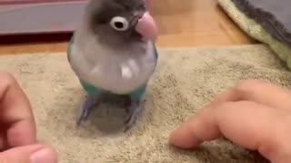 😂 Someone's Feeling Left Out! | FunFM