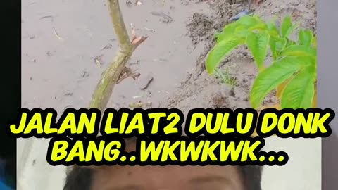 Comedy makes you laugh 7