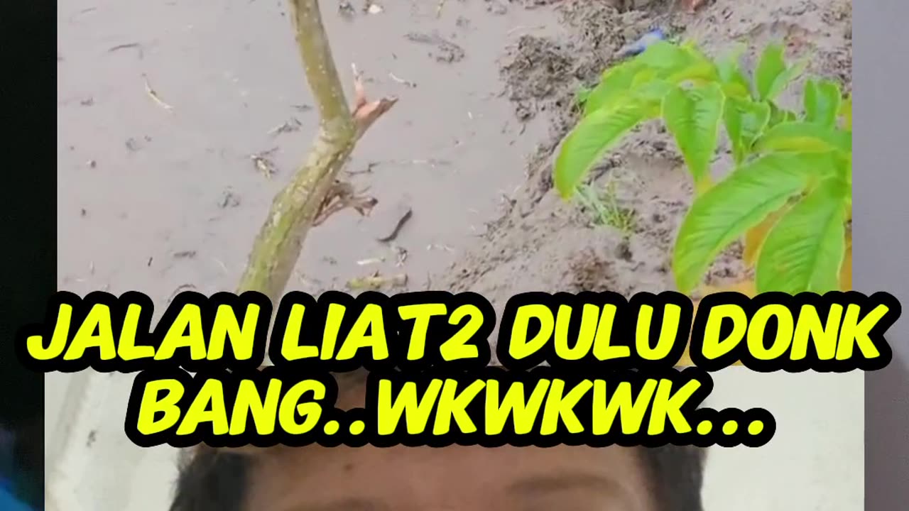 Comedy makes you laugh 7