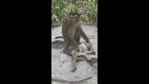 THE IMAGE SPEAKS FOR ITSELF 😭