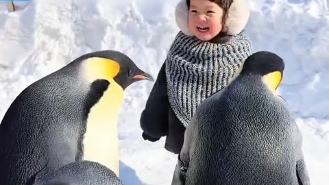 The baby successfully got into the penguin 🐧