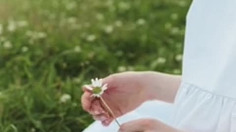 Daily Horoscope | Taurus 🌟