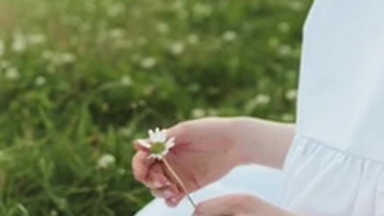 Daily Horoscope | Taurus 🌟