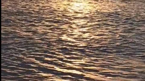 Daily Horoscope | Cancer 🌟