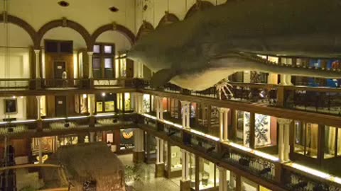 ʻAiea Bay State Recreation Area