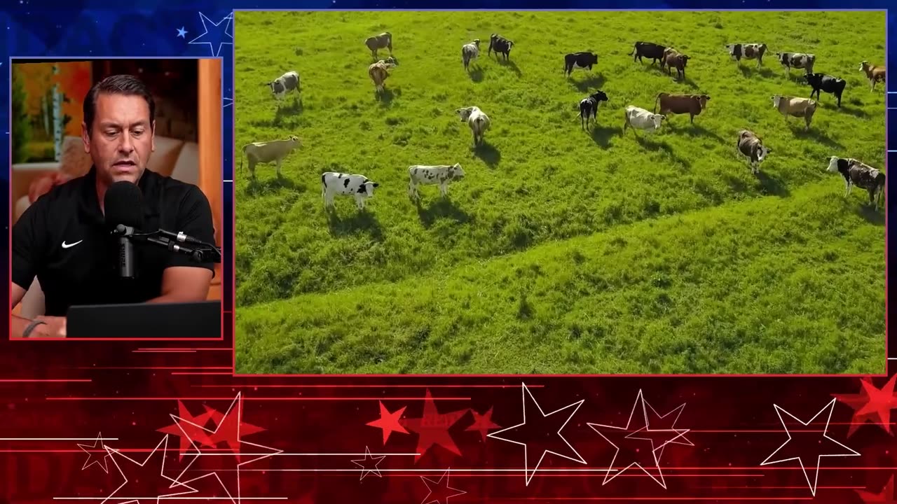 BOVAER The Cows Are Dropping Dead After ‘Anti-Methane’ Feed Mandate