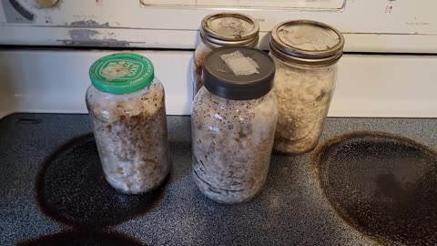 Popcorn tek minimal equipment