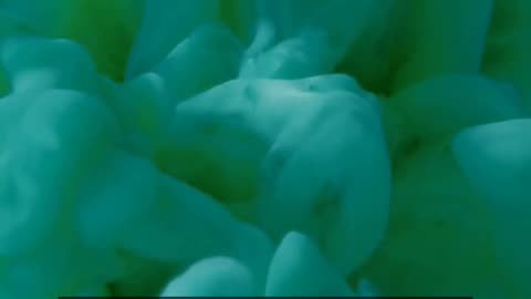 Daily Horoscope | Gemini 🌟