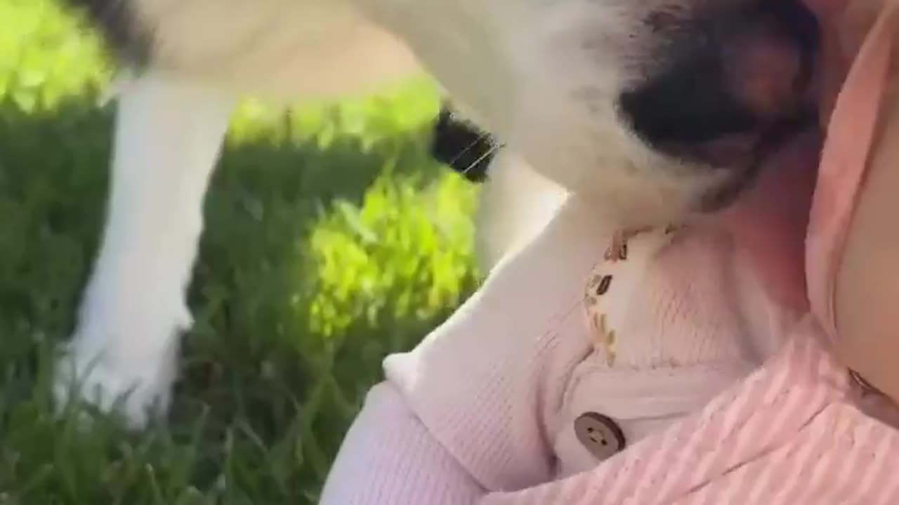 😂🐶 This Dog's Obsession is TOO MUCH! | FunFM