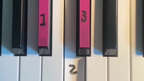 How To Learn Keyboard - New Way to Learn Piano From Expert | Ingenious Tips for Every Beginner!