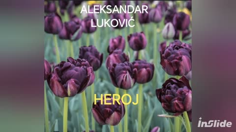 @Aleksandar-u9b otišao kod majke u krilo