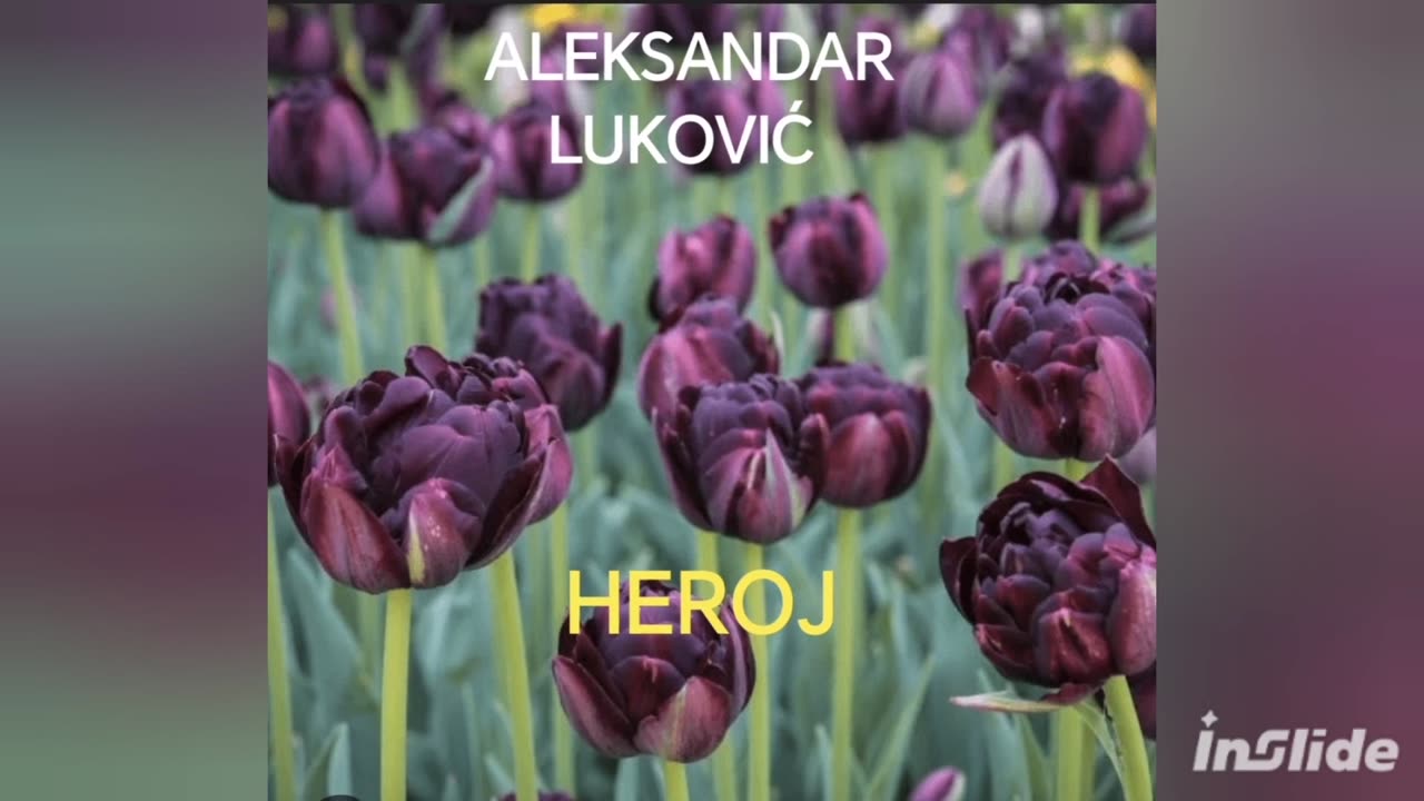 @Aleksandar-u9b otišao kod majke u krilo