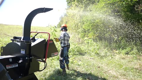 Woodmaxx action images