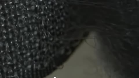 Scientific Accidents — Entry #14: Velcro