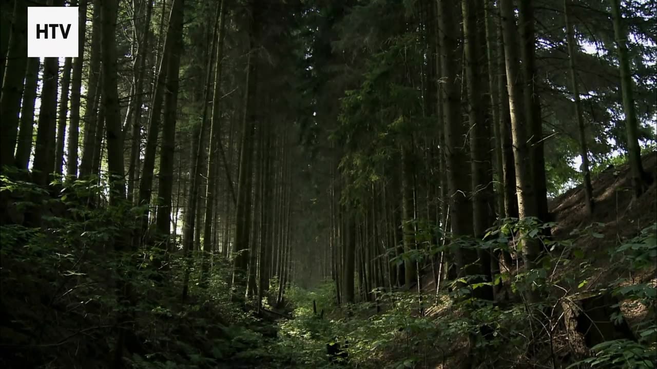 A Planet Viewed Through the SkyLens