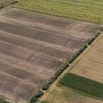 How Farms Can Heal the Earth!