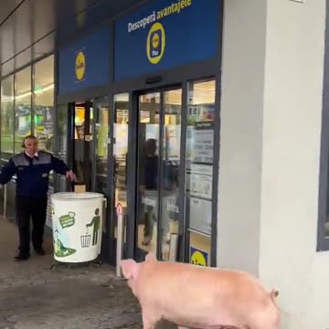 Supermarkets in France have employed new methods of security against Islamist migrants 🇫🇷