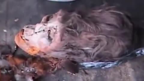 ELONGATED SKULLS IN PERU