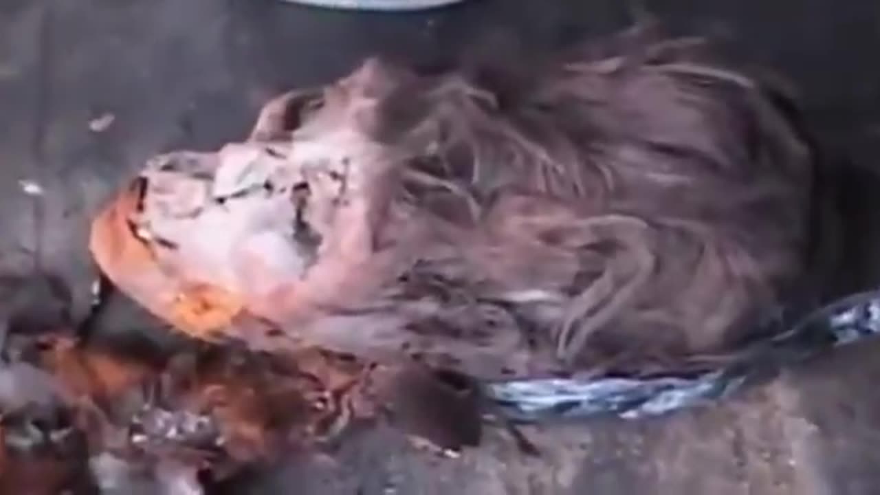 ELONGATED SKULLS IN PERU