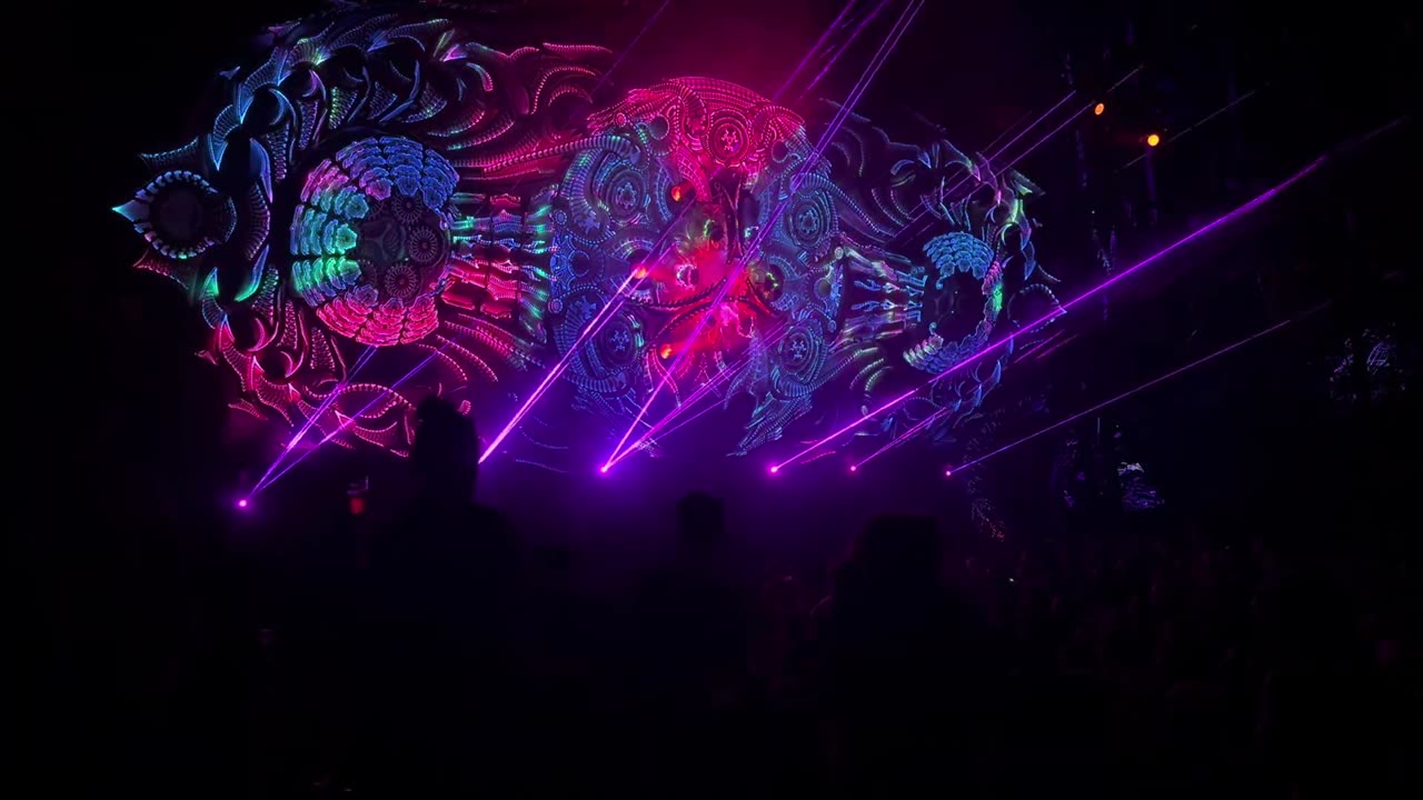 Dj Paula @ The Hive - Modem Festival 2024