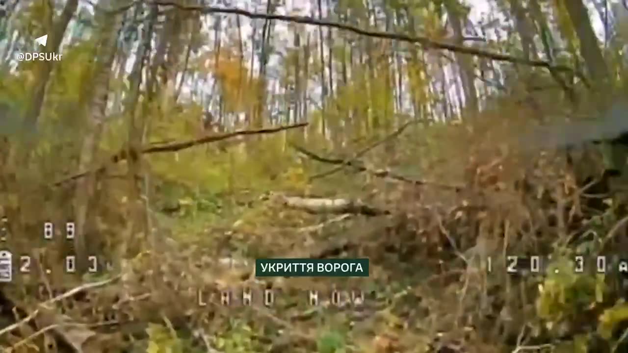 👀Knock-knock, who's sitting in the shelter?: no answer was needed In the Kursk