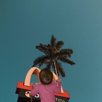 Baby Climbs McDonald's Sign?!