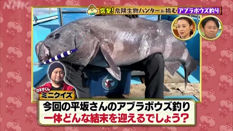 有吉のお金発見 突撃！カネオくん 2026年新春98分スペシャル