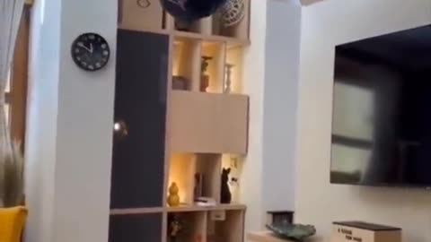 😱👻 The Scariest Ouija Session I've Ever Seen! | TheHauntingHour