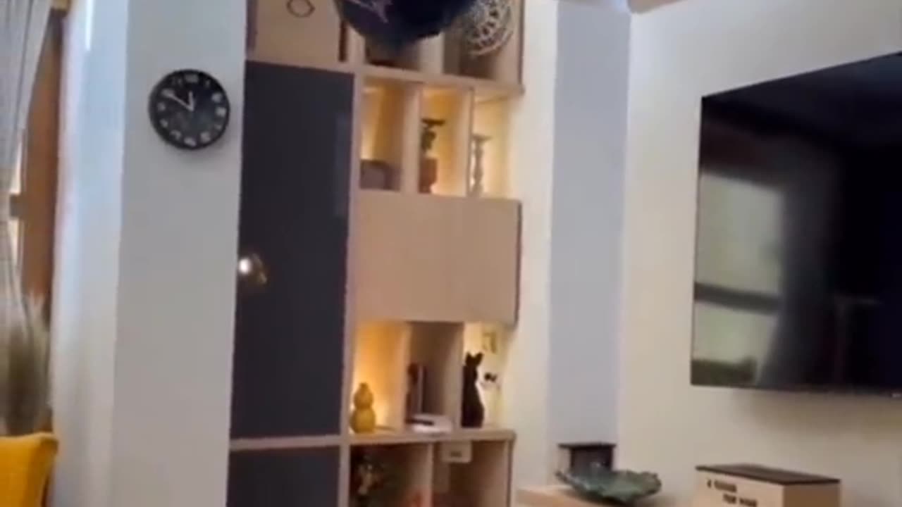 😱👻 The Scariest Ouija Session I've Ever Seen! | TheHauntingHour