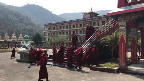 Sneak peak into a 7-day puja🙏