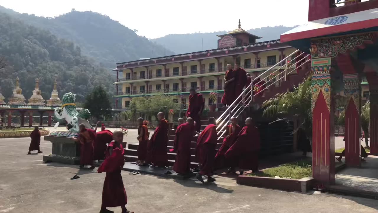 Sneak peak into a 7-day puja🙏