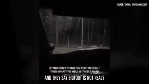 😱🌲 Terrifying Mourning Sounds Emerge from the Forest! What’s Out There? | TheHauntingHour