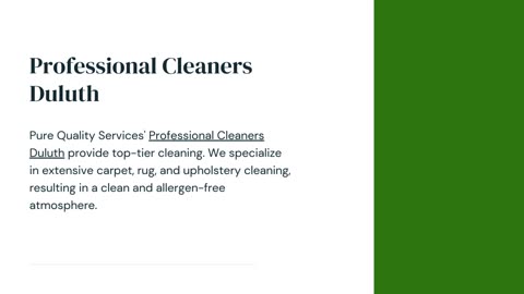 Professional Cleaners Duluth