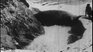 MT. RAINIER. [FORD EDUCATIONAL LIBRARY] - MT. RAINIER. [FORD EDUCATIONAL LIBRARY] - fc-fc-4493