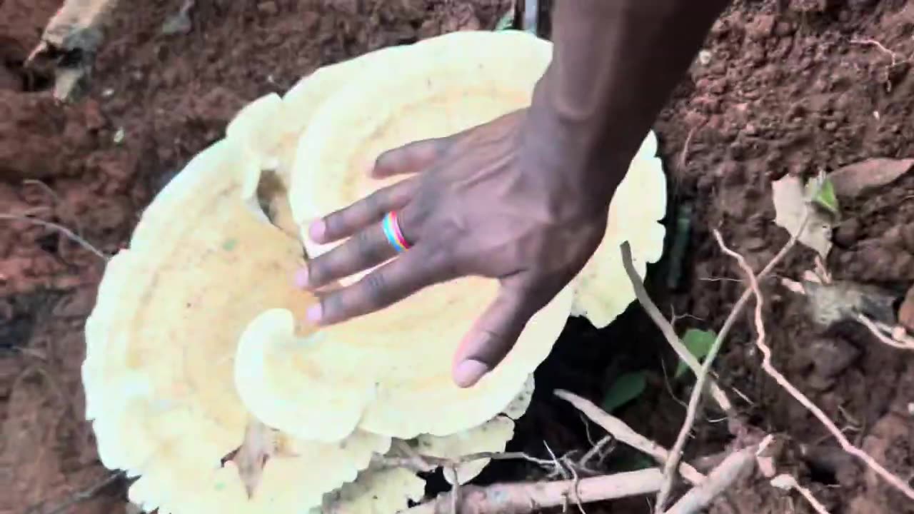 Wooah! Look at what I found!!!!