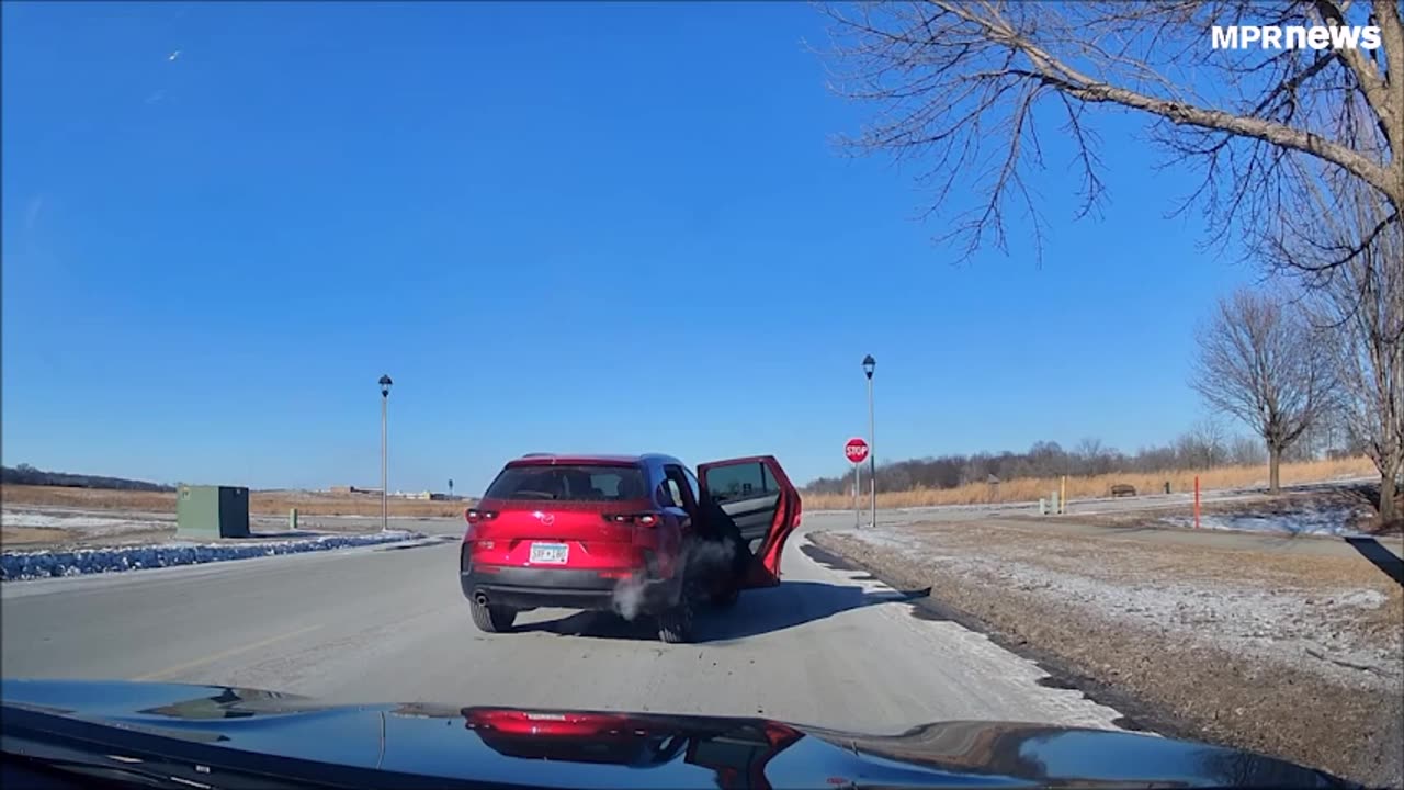 Noem's Goons On The Loose