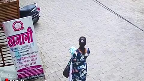 @Funny Street Gangs.